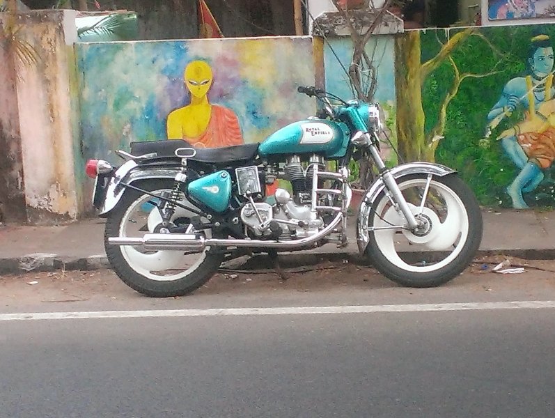 379.jpg