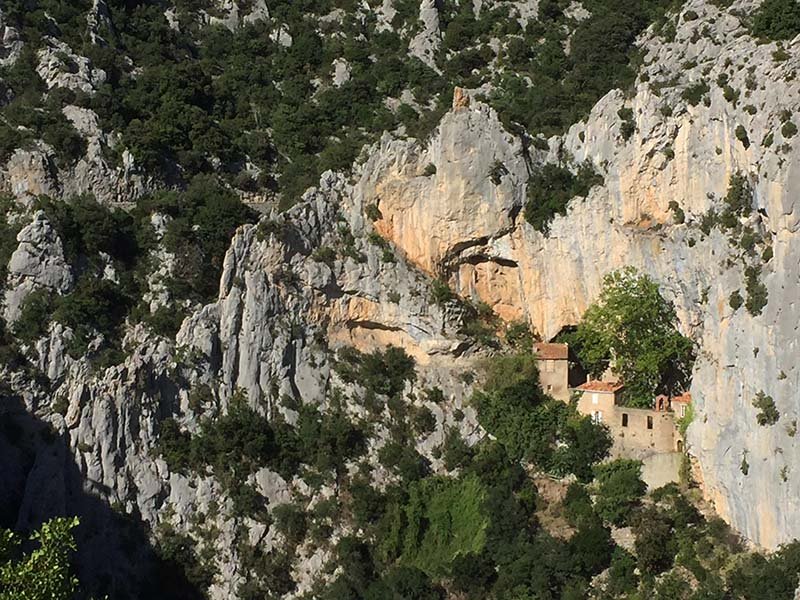 ermitagegalamus.jpg