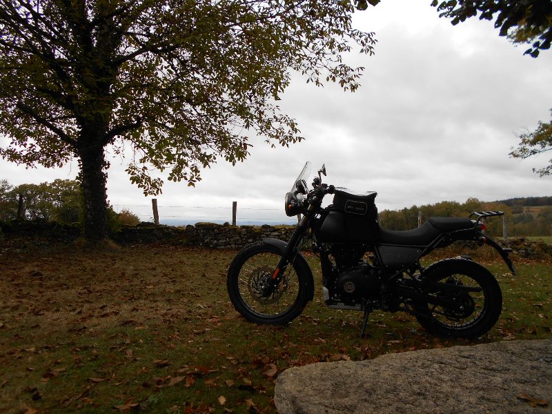 Himalayan8.JPG