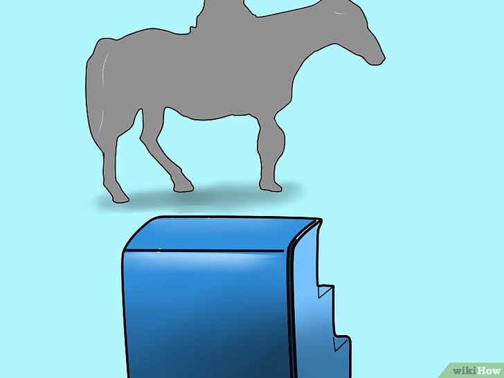 v4-728px-Mount-a-Horse-Step-1.jpg