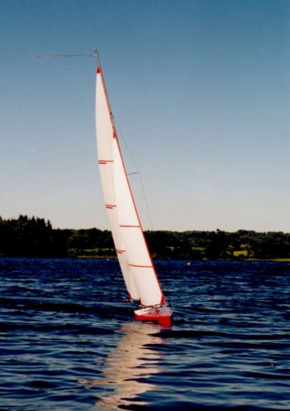 Cedar IV 3.jpg
