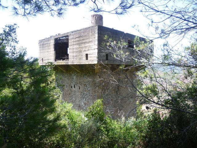 P1110336.JPG
