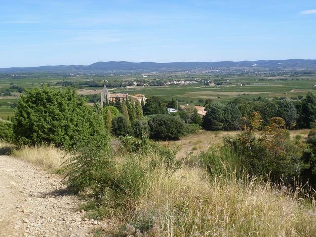 P1120843.JPG