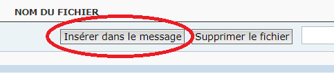 photo2.png