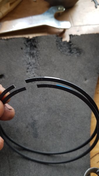20190519_143128.jpg