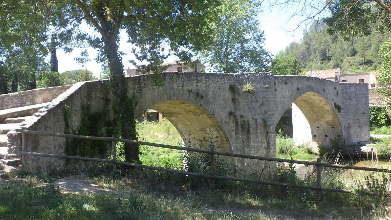 RIMG9525.JPG