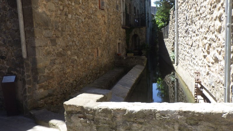 RIMG9534.JPG