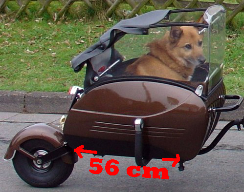 pav-chien copie.jpg
