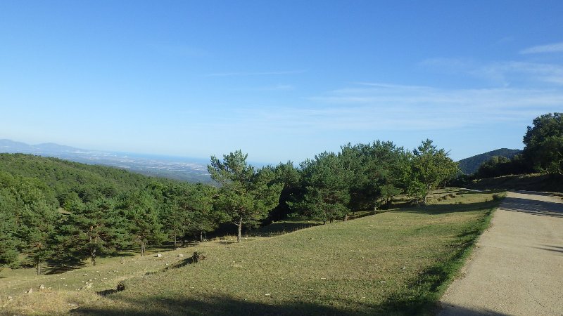 RIMG0574.JPG