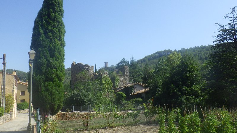 RIMG1038.JPG