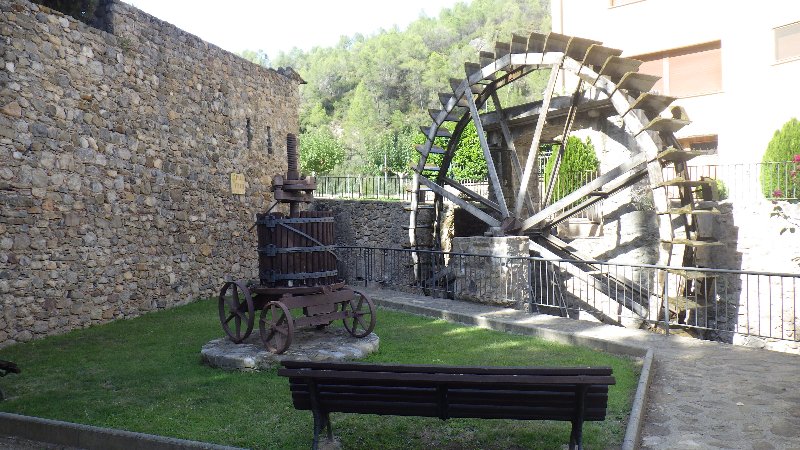 RIMG1078.JPG