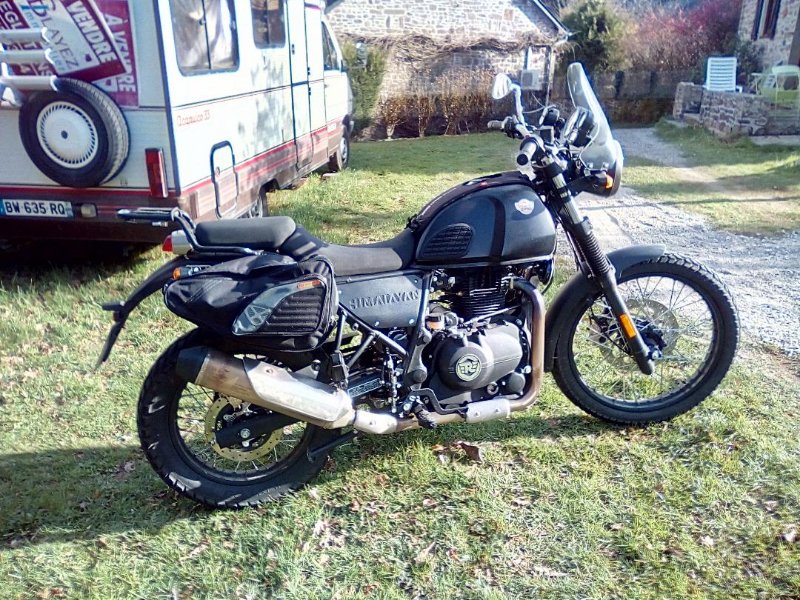 Himalayan77.jpeg