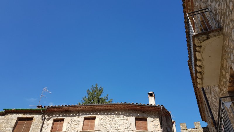 20190927_120954.jpg
