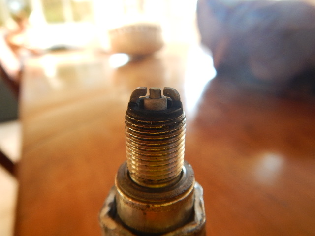 DSCN2391.JPG