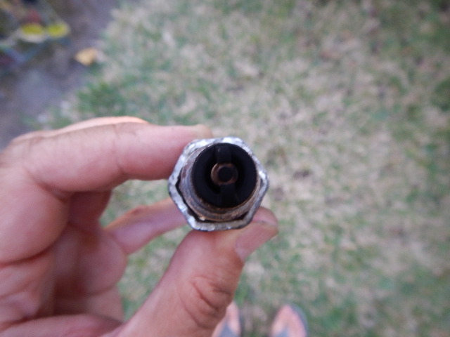 DSCN2396.JPG