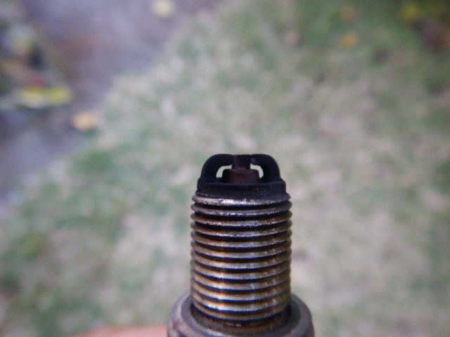 DSCN2395.JPG