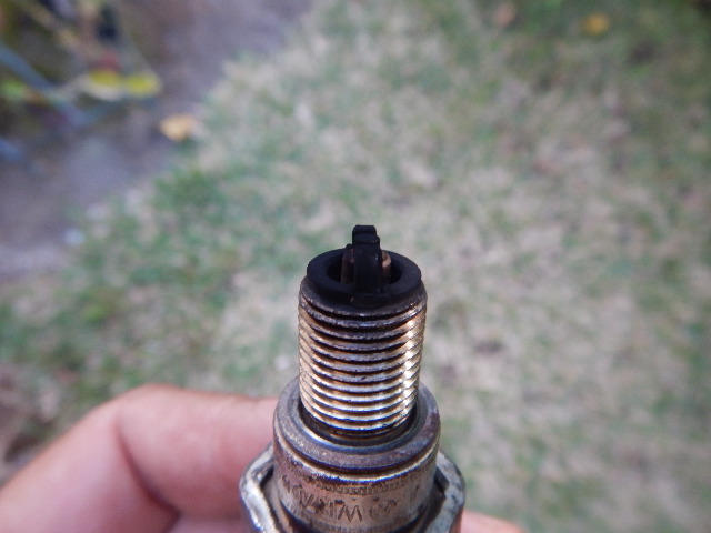 DSCN2397.JPG