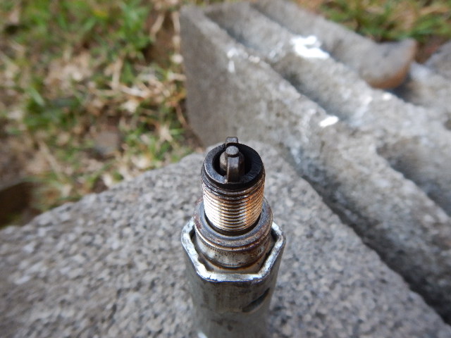 DSCN2401.JPG