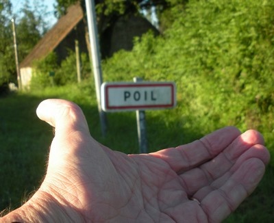 poil.jpg