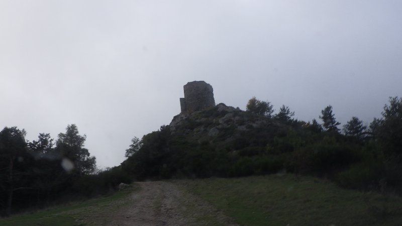 RIMG1445.JPG