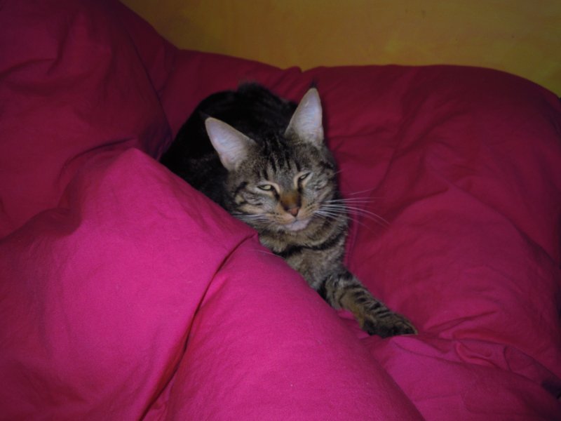 DSCN4950.JPG