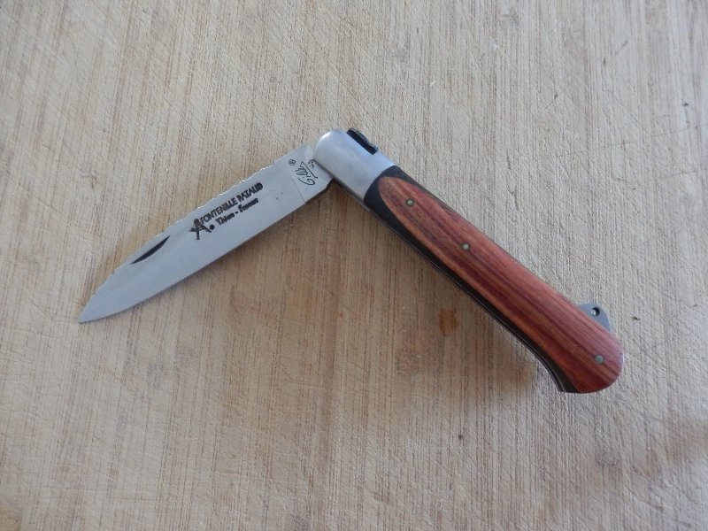 FontenillePataud1.JPG