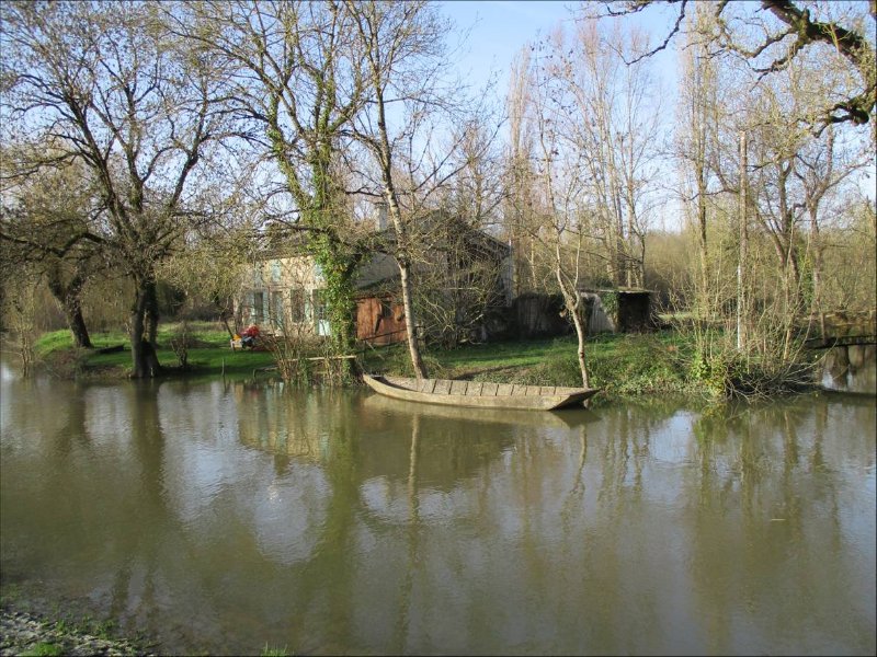 Image10.jpg