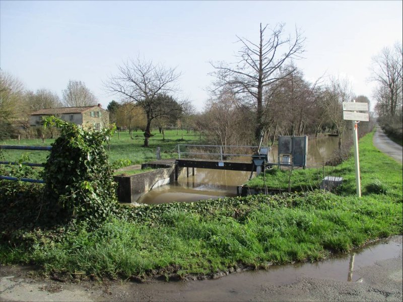 Image3.jpg