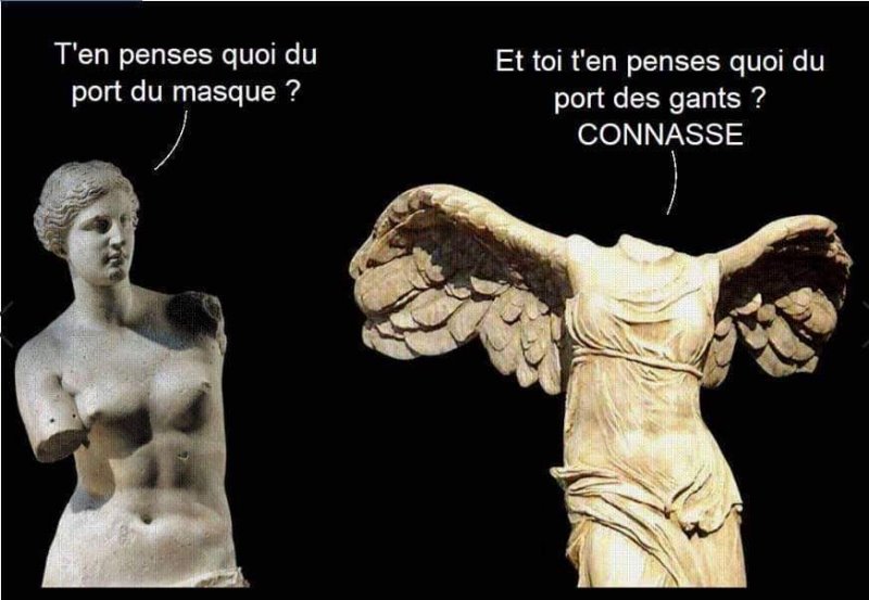 vénus.jpeg