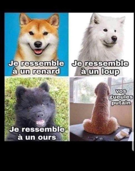 6B637FFE-8C98-406C-8742-7F5C3EF0C3E5.jpeg