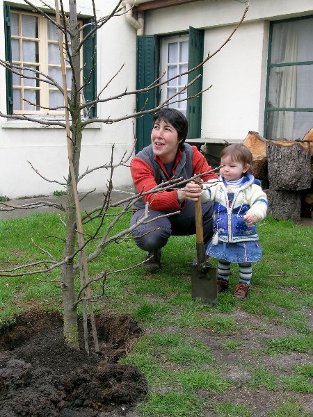 léna arbre1.jpg