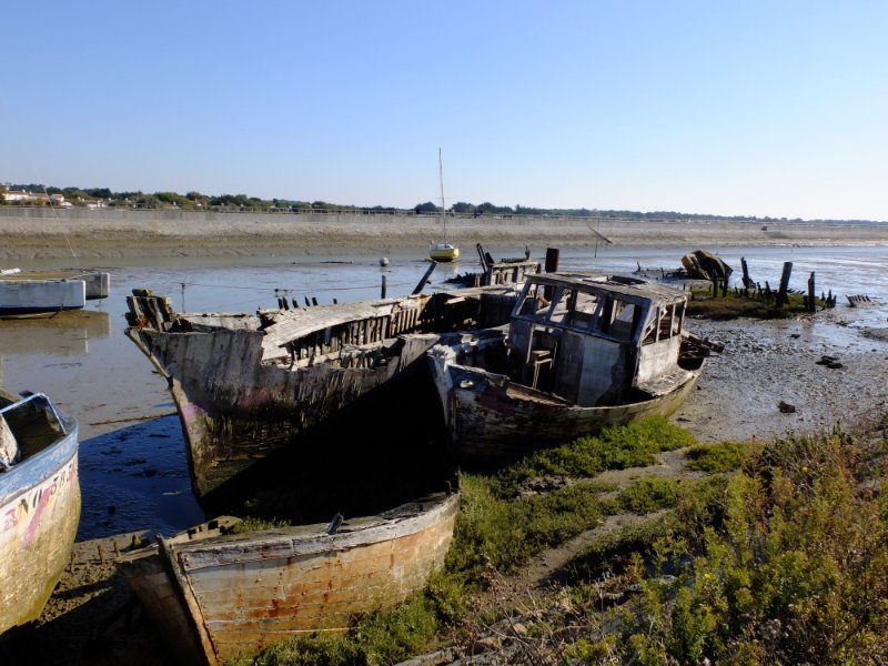 DSCF3576.JPG