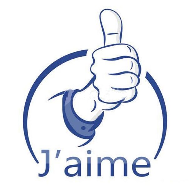 111.jpg