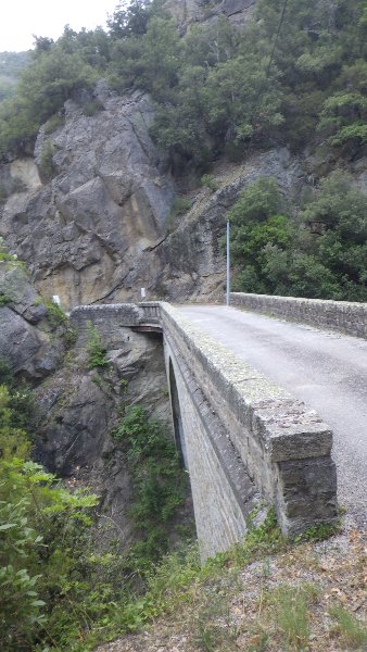 RIMG5445.JPG