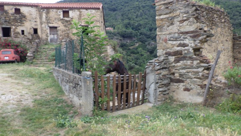 RIMG0562.JPG