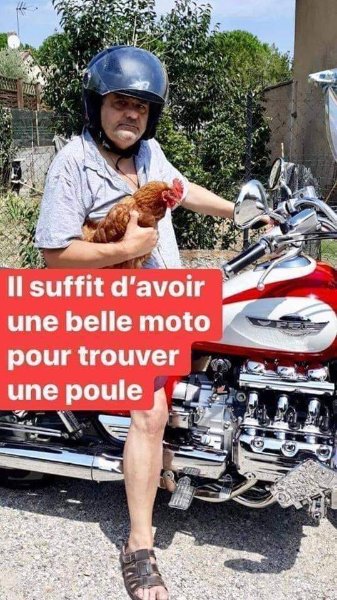 Trouver une poule.jpg