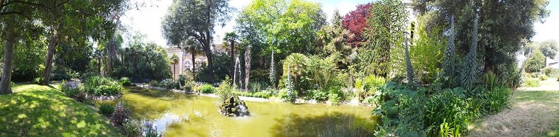 PANO_20200517_150420.jpg