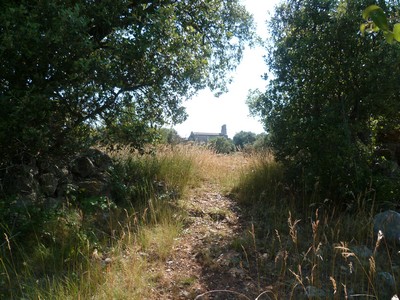 P1010238.JPG