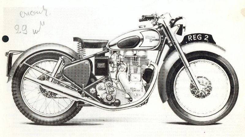 Bull3 5051.jpg
