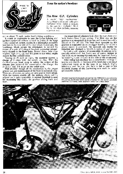 Scott Squirrel p28.jpg
