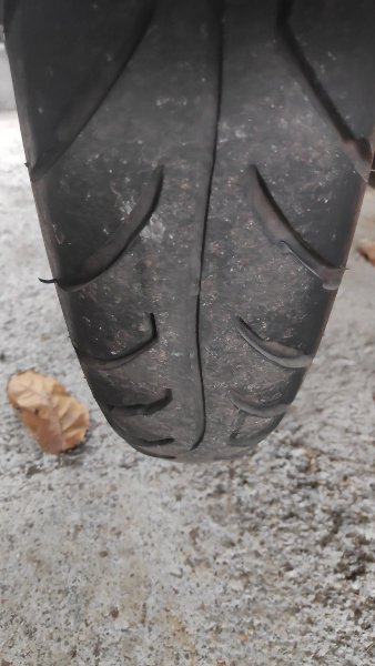 IMG_20201218_103429.jpg