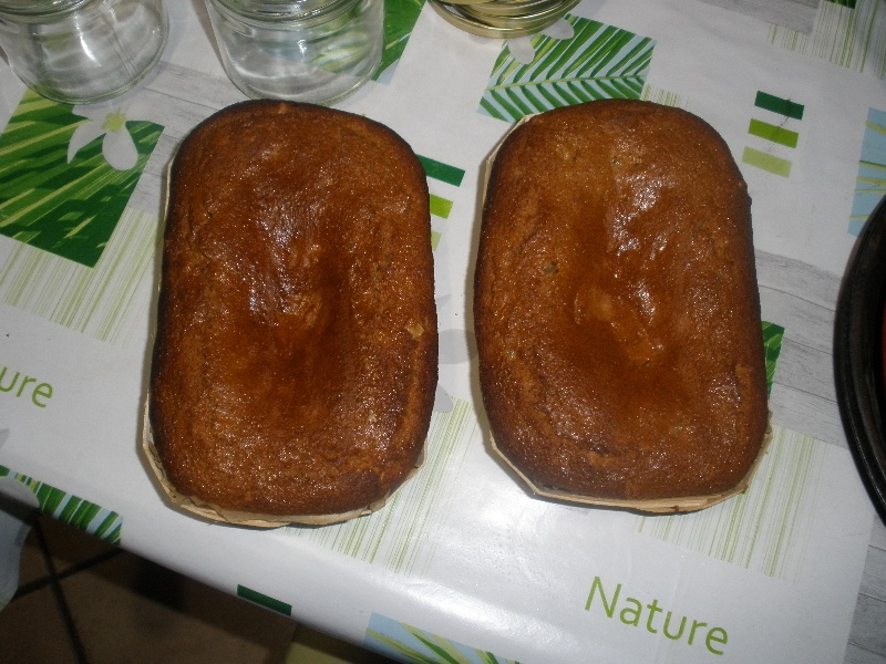 P1010001.JPG
