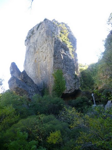 P1010736.JPG
