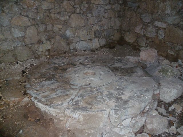 P1010725.JPG