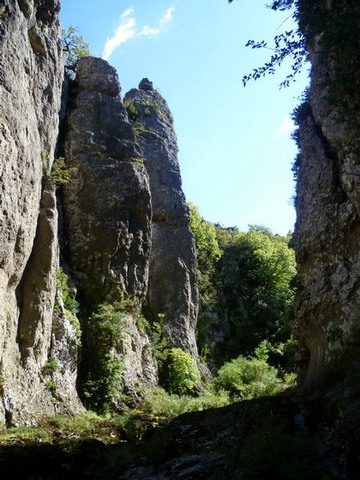 P1010647.JPG