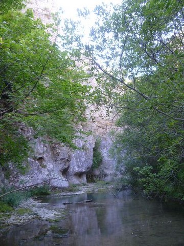 P1010635.JPG