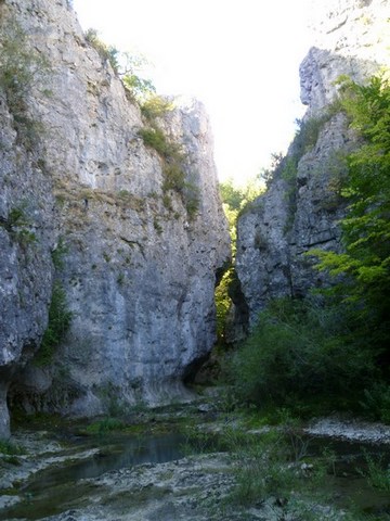P1010633.JPG