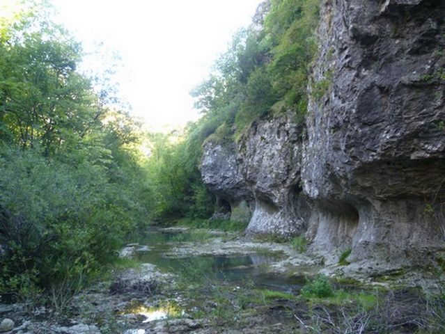 P1010629.JPG