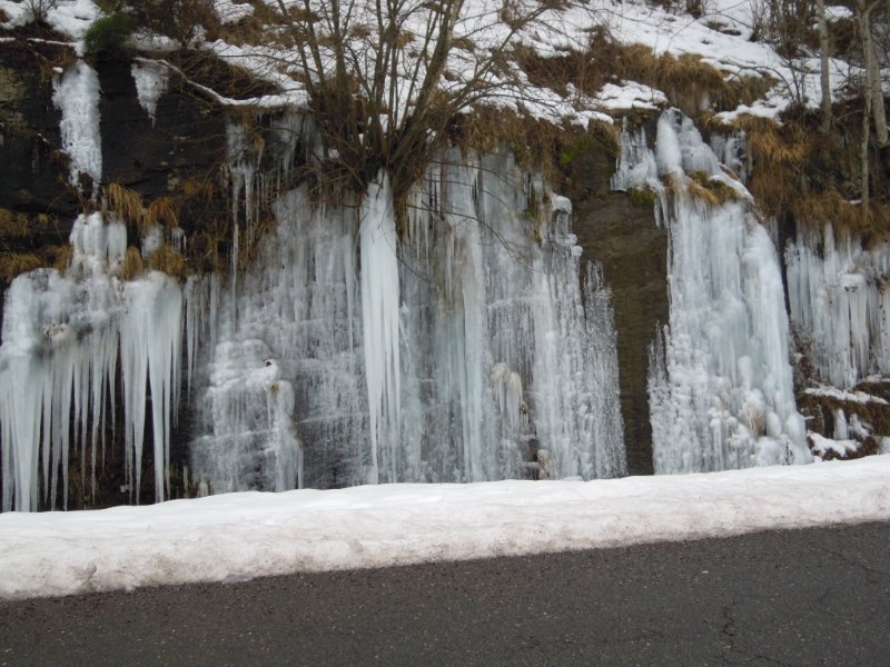 DSCN5393.JPG