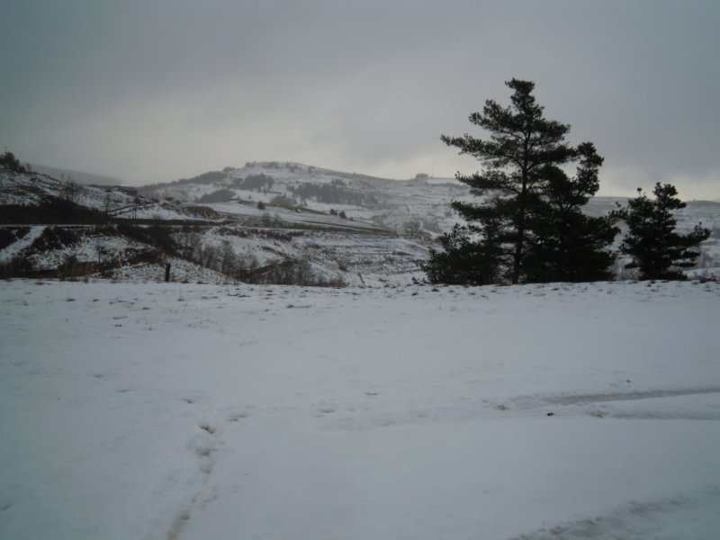 DSCN5396.JPG